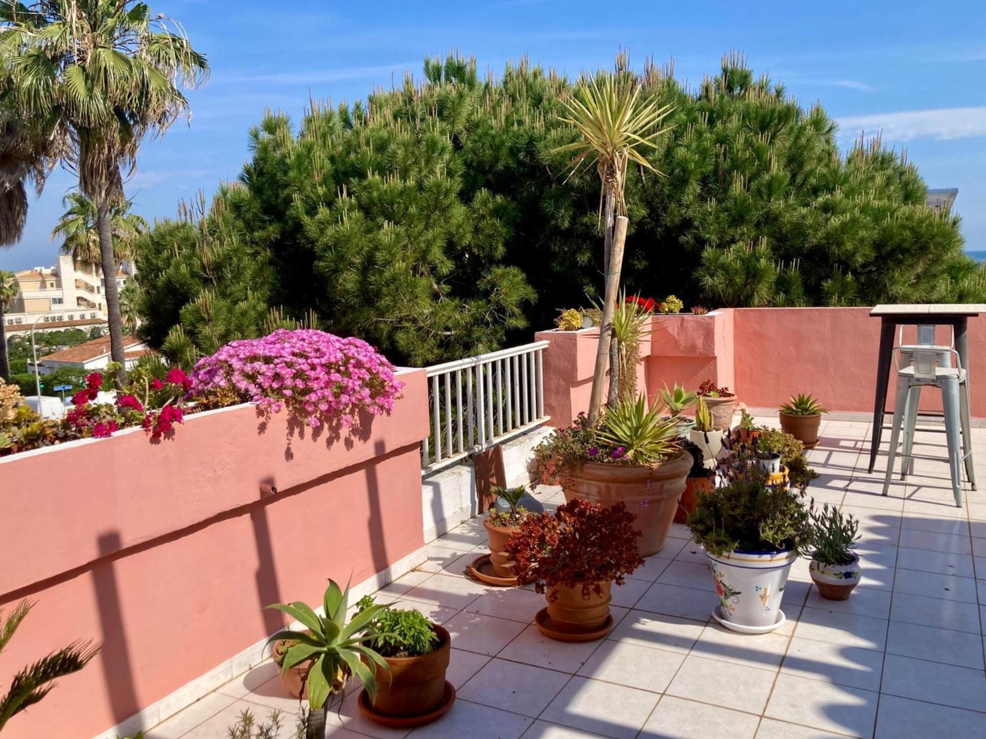 Atico Jazmines Denia Διαμέρισμα Εξωτερικό φωτογραφία